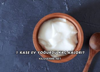1 Kase Ev Yoğurdu Kaç Kalori?