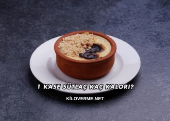 1 Kase Sütlaç Kaç Kalori?