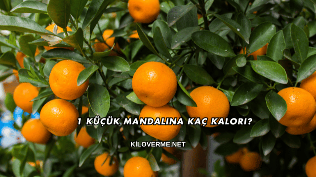 1 Küçük Mandalina Kaç Kalori?