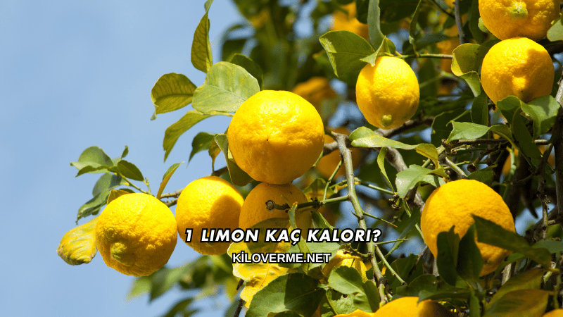 1 Limon Kaç Kalori?