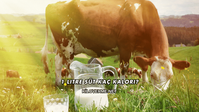 1 Litre Süt Kaç Kalori?