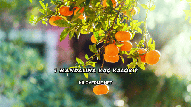 1 Mandalina Kaç Kalori?