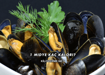1 Midye Kaç Kalori?