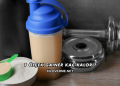 1 Ölçek Gainer Kaç Kalori?