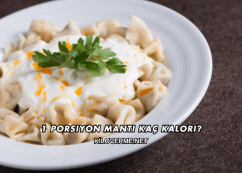 1 Porsiyon Mantı Kaç Kalori?