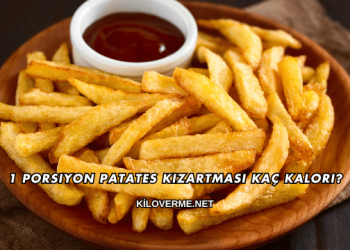 1 Porsiyon Patates Kızartması Kaç Kalori?