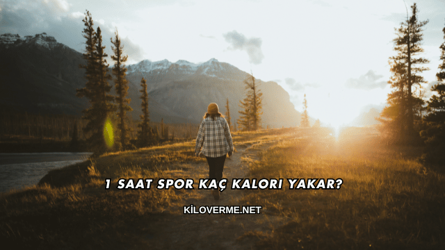 1 Saat Spor Kaç Kalori Yakar?