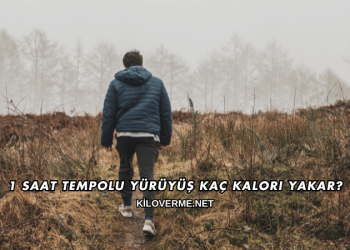 1 Saat Tempolu Yürüyüş Kaç Kalori Yakar?