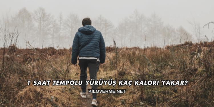 1 Saat Tempolu Yürüyüş Kaç Kalori Yakar?