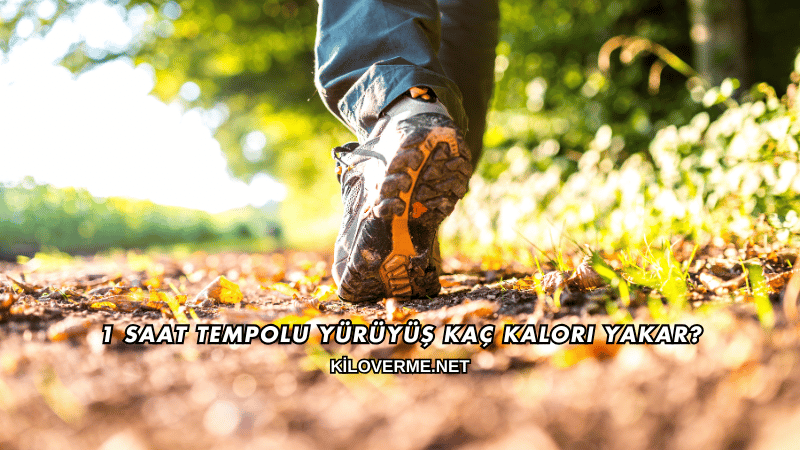1 Saat Tempolu Yürüyüş Kaç Kalori Yakar?