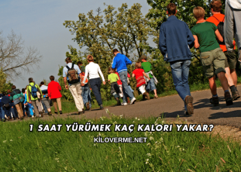 1 Saat Yürümek Kaç Kalori Yakar?