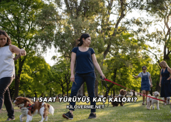 1 Saat Yürüyüş Kaç Kalori?