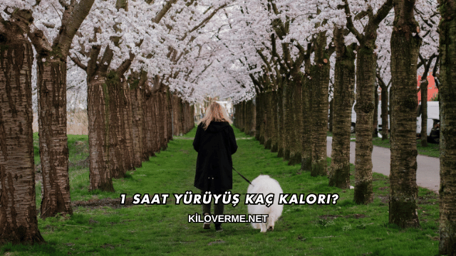 1 Saat Yürüyüş Kaç Kalori?