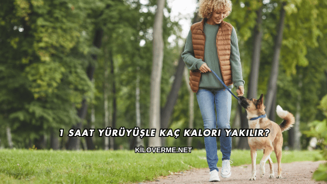 1 Saat Yürüyüşle Kaç Kalori Yakılır?