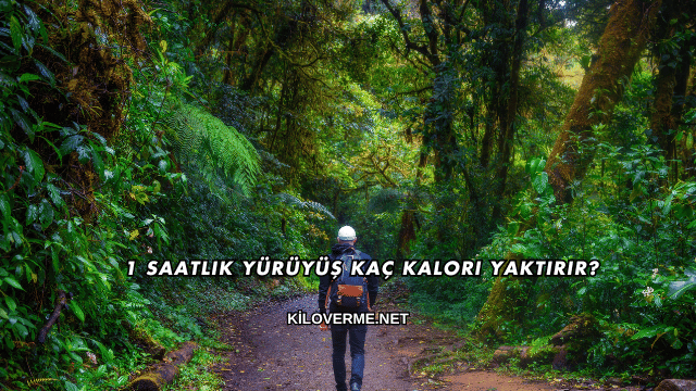 1 Saatlik Yürüyüş Kaç Kalori Yaktırır?