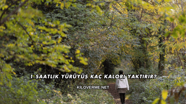 1 Saatlik Yürüyüş Kaç Kalori Yaktırır?