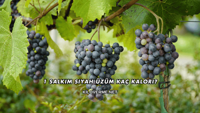 1 Salkım Siyah Üzüm Kaç Kalori?