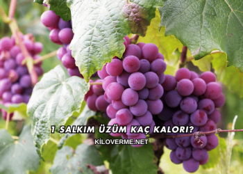 1 Salkım Üzüm Kaç Kalori?