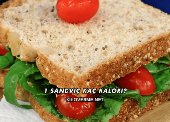 1 Sandviç Kaç Kalori?