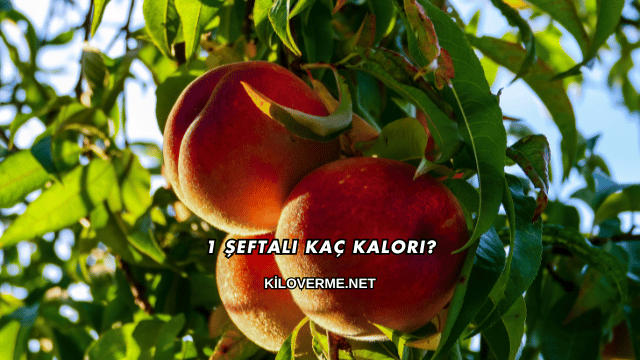 1 Şeftali Kaç Kalori?