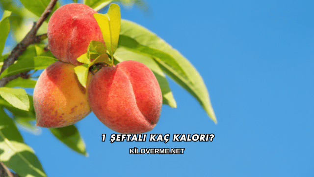 1 Şeftali Kaç Kalori?