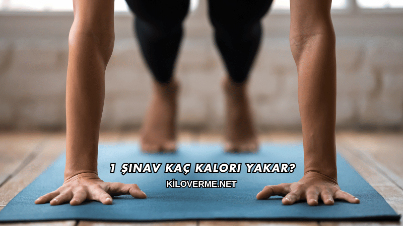 1 Şınav Kaç Kalori Yakar?