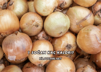 1 Soğan Kaç Kalori?