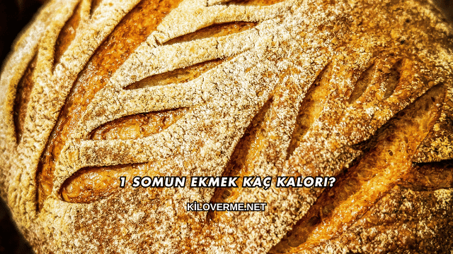 1 Somun Ekmek Kaç Kalori?