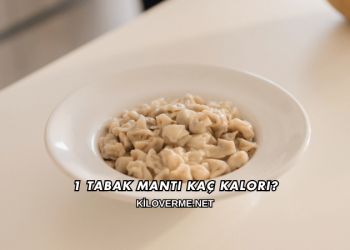 1 Tabak Mantı Kaç Kalori?