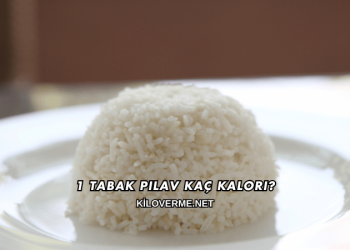 1 Tabak Pilav Kaç Kalori?