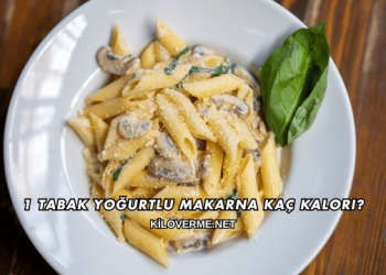 1 Tabak Yoğurtlu Makarna Kaç Kalori?