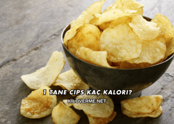 1 Tane Cips Kaç Kalori?