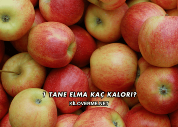 1 Tane Elma Kaç Kalori?