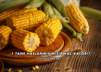 1 Tane Haşlanmış Mısır Kaç Kalori?