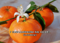 1 Tane Mandalina Kaç Kalori?