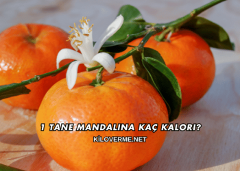 1 Tane Mandalina Kaç Kalori?