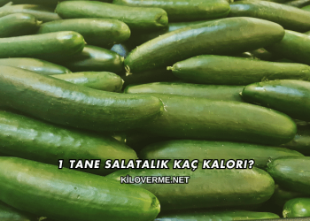1 Tane Salatalık Kaç Kalori?
