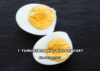 1 Yumurtada Kaç Kalori Var?