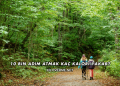 10 Bin Adım Atmak Kaç Kalori Yakar?