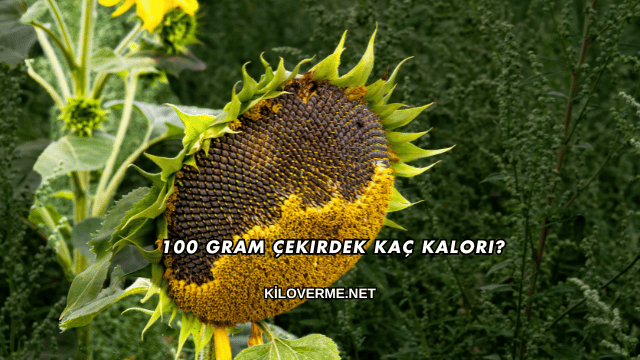 100 Gram Çekirdek Kaç Kalori?