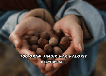 100 Gram Fındık Kaç Kalori?