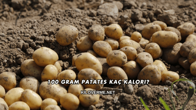 100 Gram Patates Kaç Kalori?