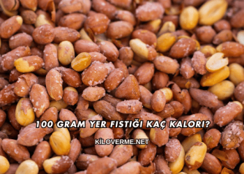 100 Gram Yer Fıstığı Kaç Kalori?