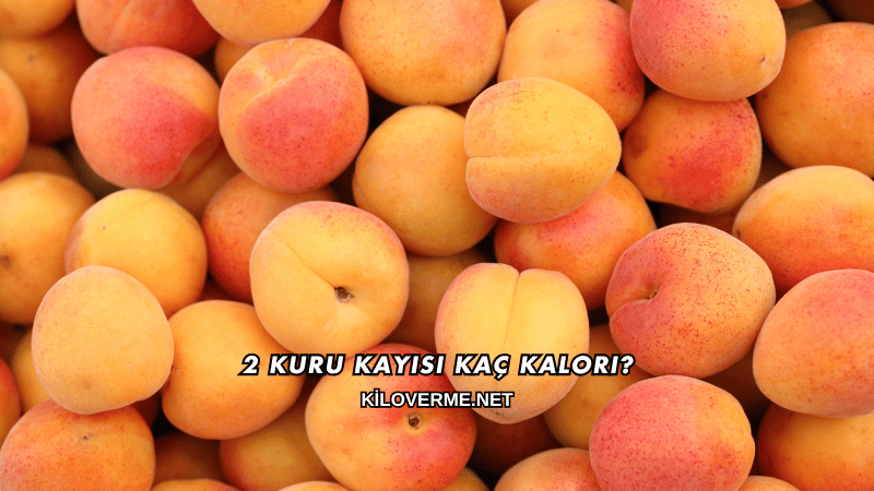2 Kuru Kayısı Kaç Kalori?