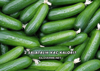 2 Salatalık Kaç Kalori?