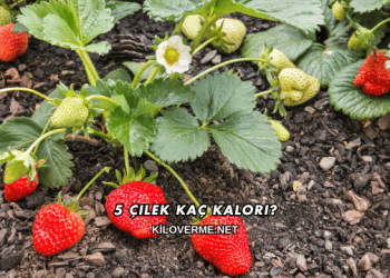 5 Çilek Kaç Kalori?