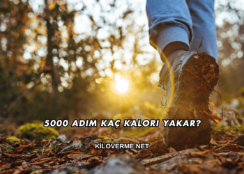 5000 Adım Kaç Kalori Yakar?