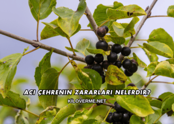 Acı Çehrenin Zararları Nelerdir?