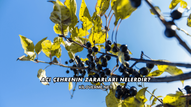 Acı Çehrenin Zararları Nelerdir?