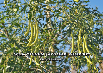 Açlık Otunun Faydaları Nelerdir?